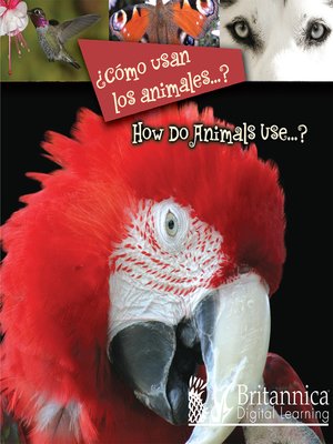 cover image of ¿Cómo usan los animales...?